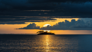 town-of-pine-island-featured-image.png